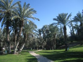 Bylo to tu jako v oáze