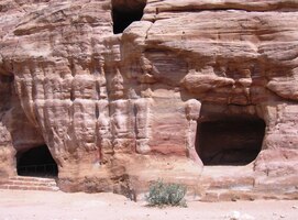 Škoda jen jejich zvětralých fasád!