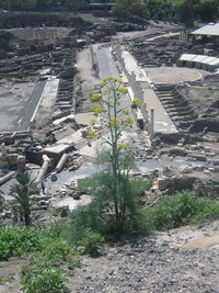 Pohled shora na hlavní korzo - cardo