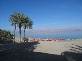 Vstříc slaným vodám nejslanějšího moře světa