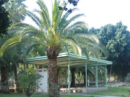 A pak jsme šli tímto krásným parkem