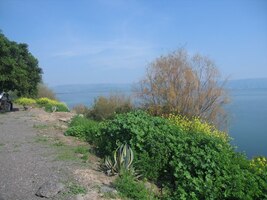 lovili ryby Petr, Jakub, Jan i jiní