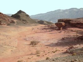 Tady jsou útvary jim hodně podobné