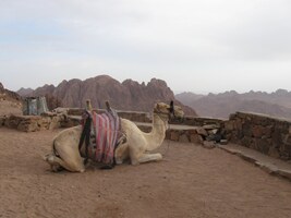 a pak si po té fušce rádi odpočinou