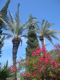 a nalezl zde řadu svých učedníků