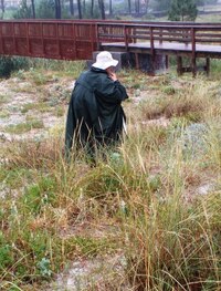 vypadá poutník poněkud zoufale