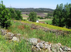 Rozhledy byly rozmáchlé