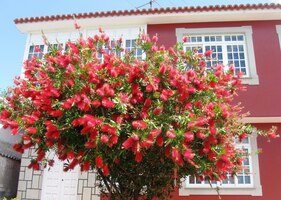 nebo přímo na nich