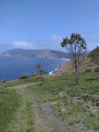 a děvčata v tom pokračovala letos