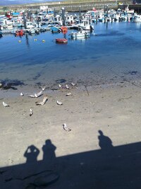 Děvčata tu už bydlí třetí den