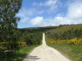 Cesta se zdála (ne)končit v (ne)konečnu