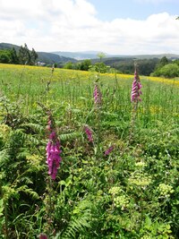 a pak zase vstoupil do hor