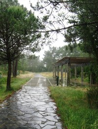 až na začátek pláže Praia de Langosteira,