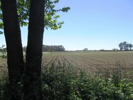 Nakonec už toho bylo až moc