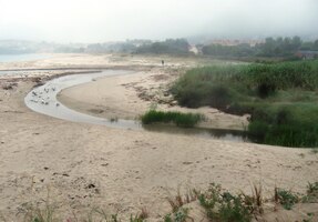 V meandrech řeky u jejího ústí