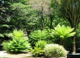 a tady park, stinný a plný zeleně