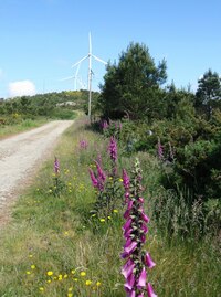 Za Olveiroa se vchází do hor