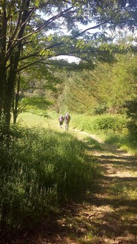 Dopoledne byla cesta celkem příjemná