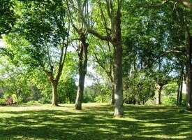 a rádi se na chvíli posadili