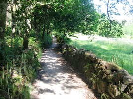 mi zamávaly na dlouhou cestu