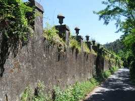 a podél zdí viničních usedlostí