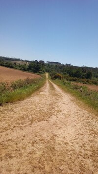 A zase nekonečná cesta