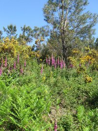 ale našly se i přepestré partie