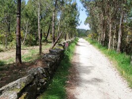 Dal jsem se vlevo ve směru Finisterre