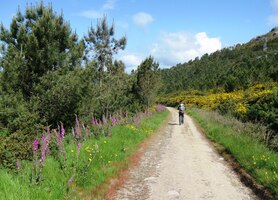 Poutník je zde sám a blažený,