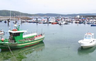 a v přístavu nasedáme do autobusu