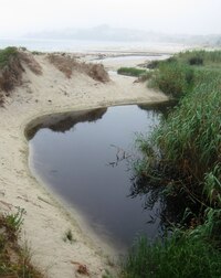 kde ústí do moře malá říčka