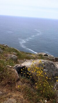 ale ani uspokojení a hrdost z toho,