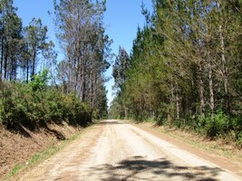 a horký vzduch s vůní eukalyptů