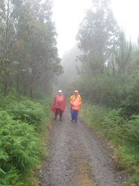 a mlžnými cestami došli
