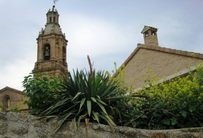 s nenápadnou exotickou květenou v okolí