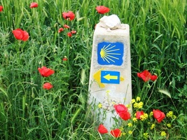 a neomylné zančení vás zavede do vsi Torrés del Rio