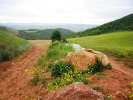 a pěstují na ní hlavně ... no ano - víno!