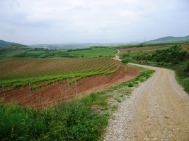 Aco dále? Cesta Standard a Osud