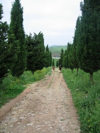 Z města vede cesta stromořadím cypřišů