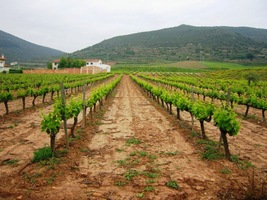 je také vstupní branou do provincie La Rioja,