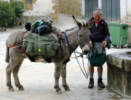 napájel poutník z JAR svého oslíka