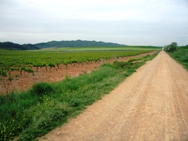 Cesta jej míjí a míří nezadržitelně dál