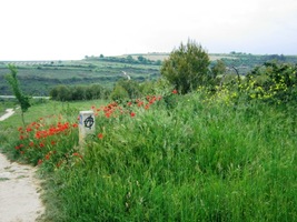 Den se povážlivě krátí a nocleh v nedohlednu