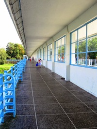 Nemáte už jejich název na jazyku?