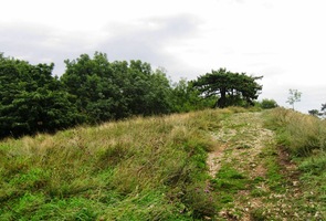 Pak jdeme dlouhým hřebenem