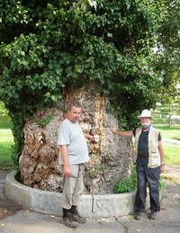 přicházíme do lázeňského parku