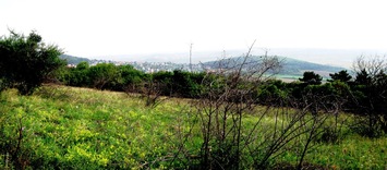 Je třeba vystoupat 400 výškových metrů