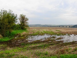 do vodou rozmáčených
