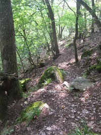 a vyrážíme k dalšímu hradu