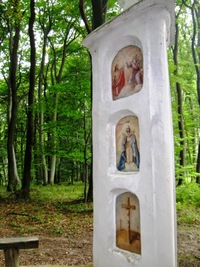 SO 30.9. - Zastavení na cestě